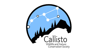 Callisto