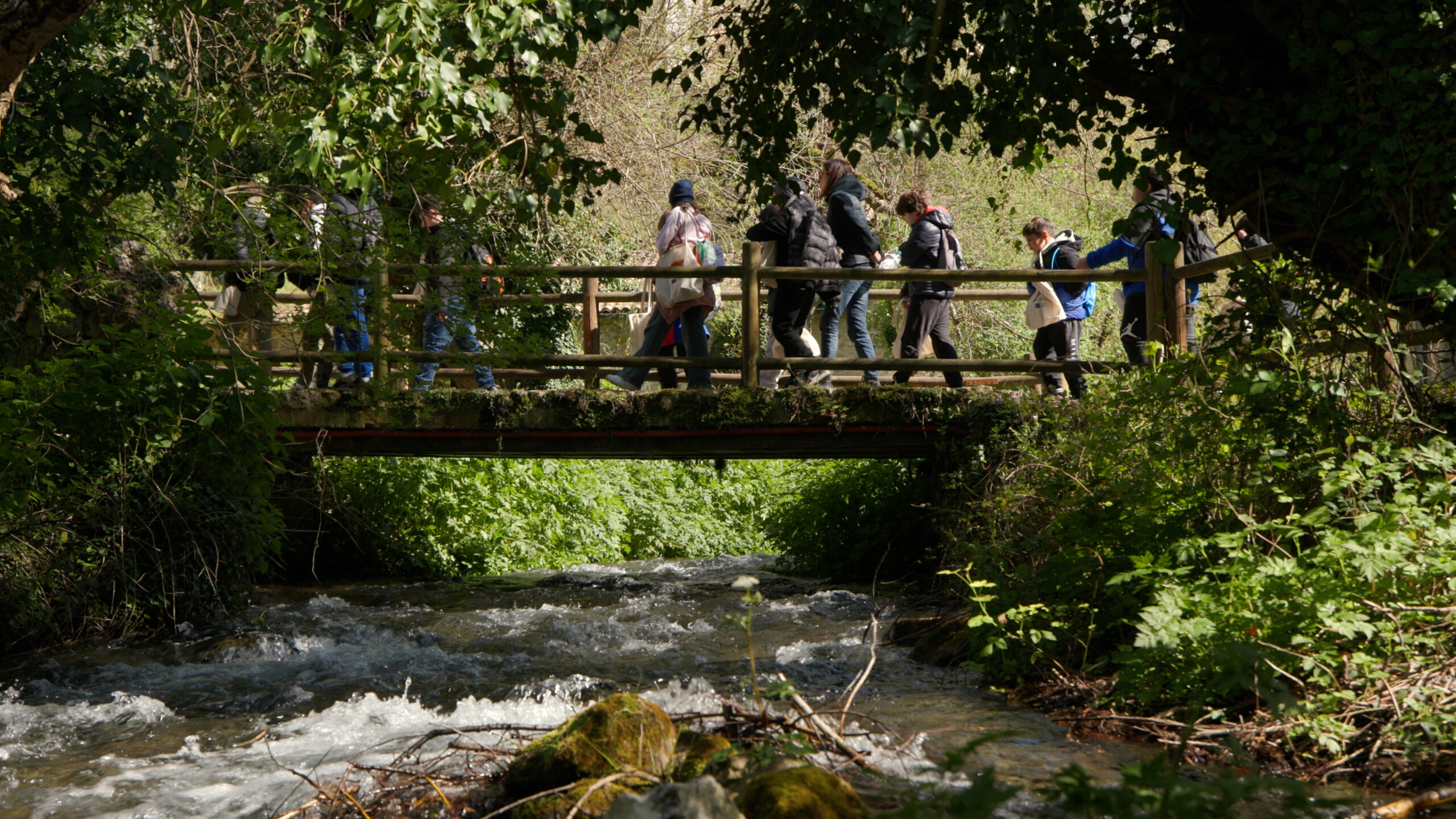 PATHS WE SHARE 251205 MASTER 4K (Draft 3).00_01_39_12.Still004