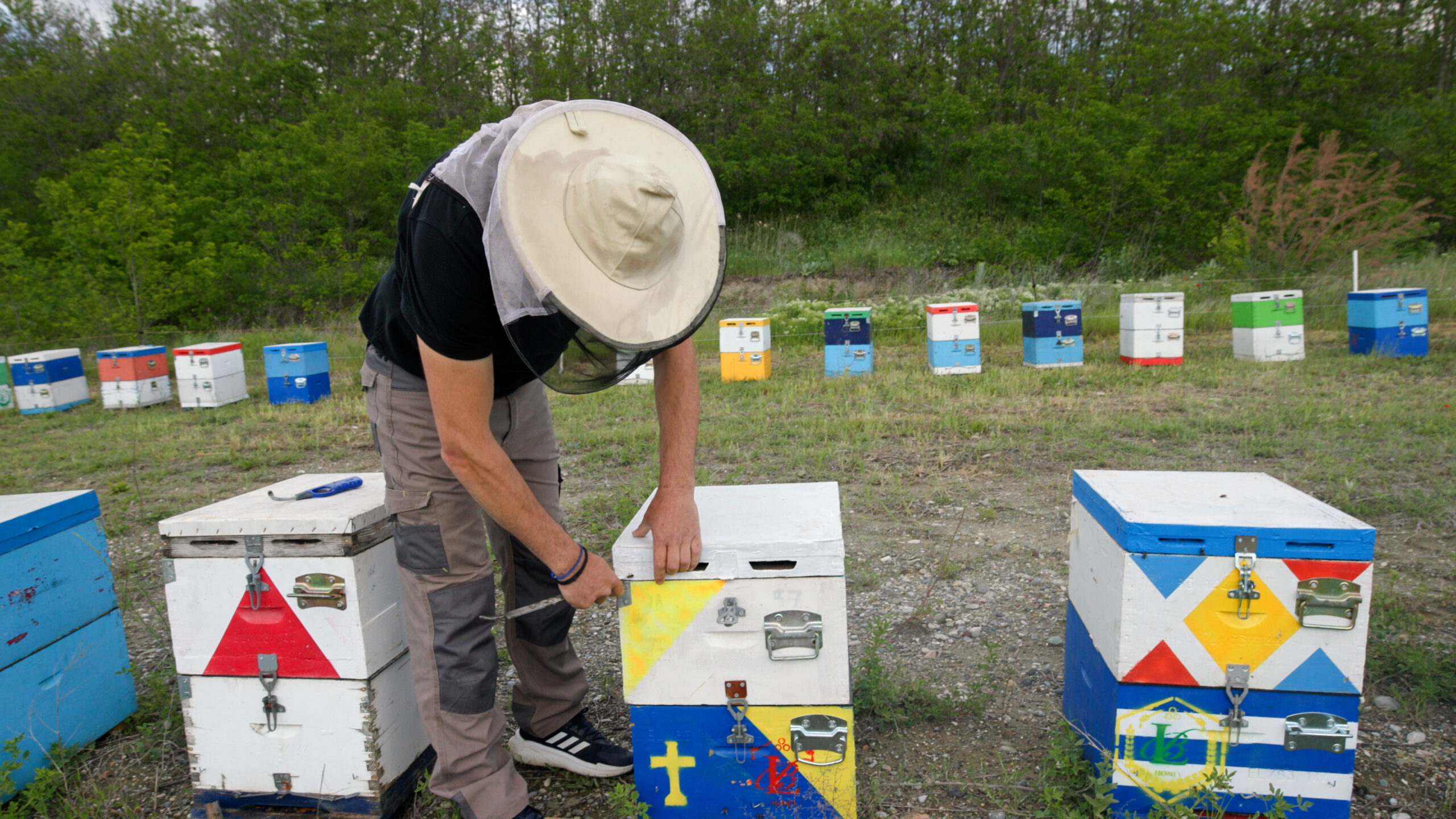 PATHS WE SHARE 251205 MASTER 4K (Draft 3).00_06_21_02.Still008